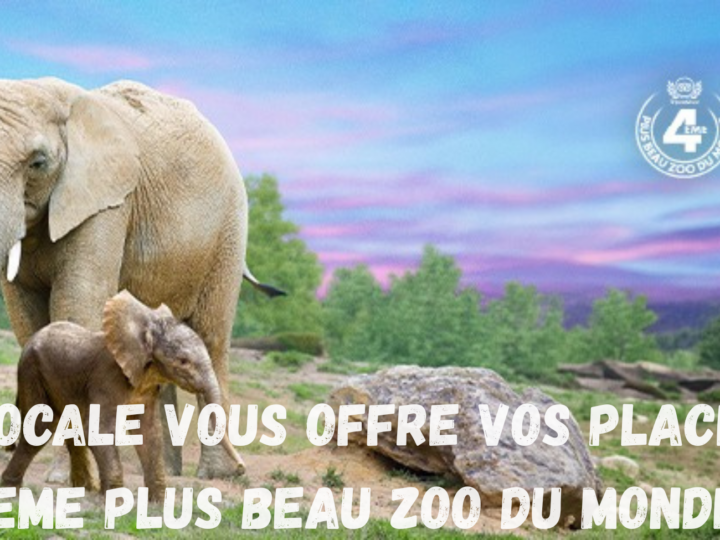🎉 Gagne tes places pour le 4ème plus beau zoo du monde avec Fréquence 3 ! 🐼