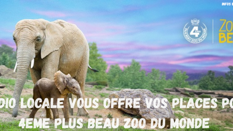 🎉 Gagne tes places pour le 4ème plus beau zoo du monde avec Fréquence 3 ! 🐼