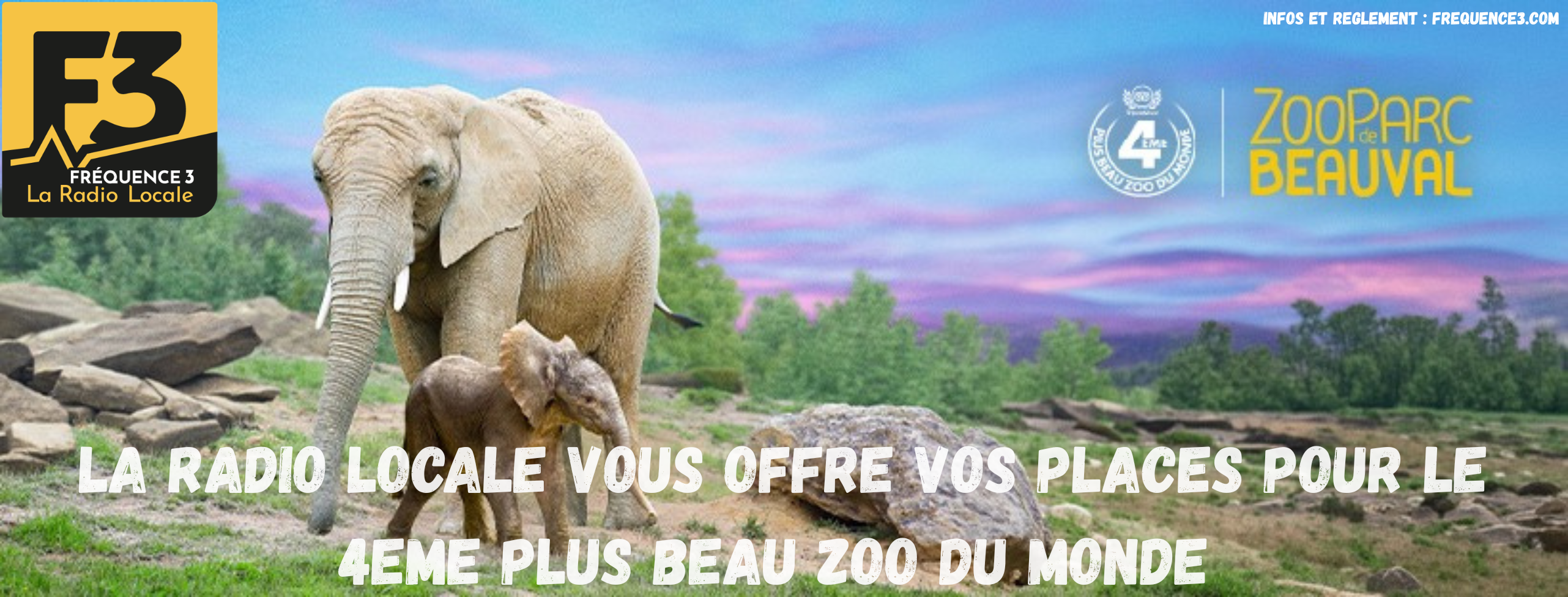 🎉 Gagne tes places pour le 4ème plus beau zoo du monde avec Fréquence 3 ! 🐼