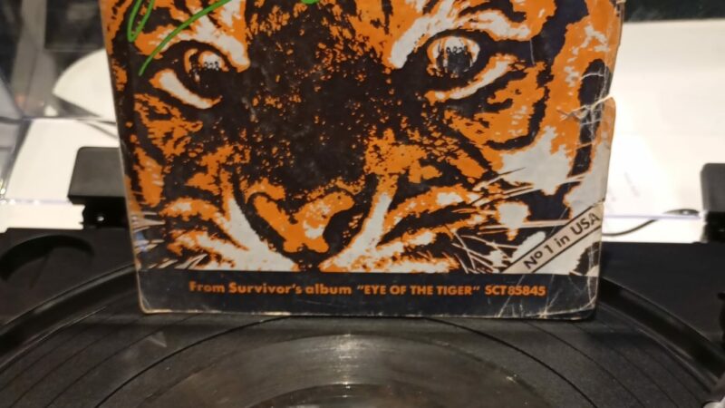 🎵 Le Vinyle de 10h moins 10 – Dimanche 6 avril – Survivor – Eye of the Tiger