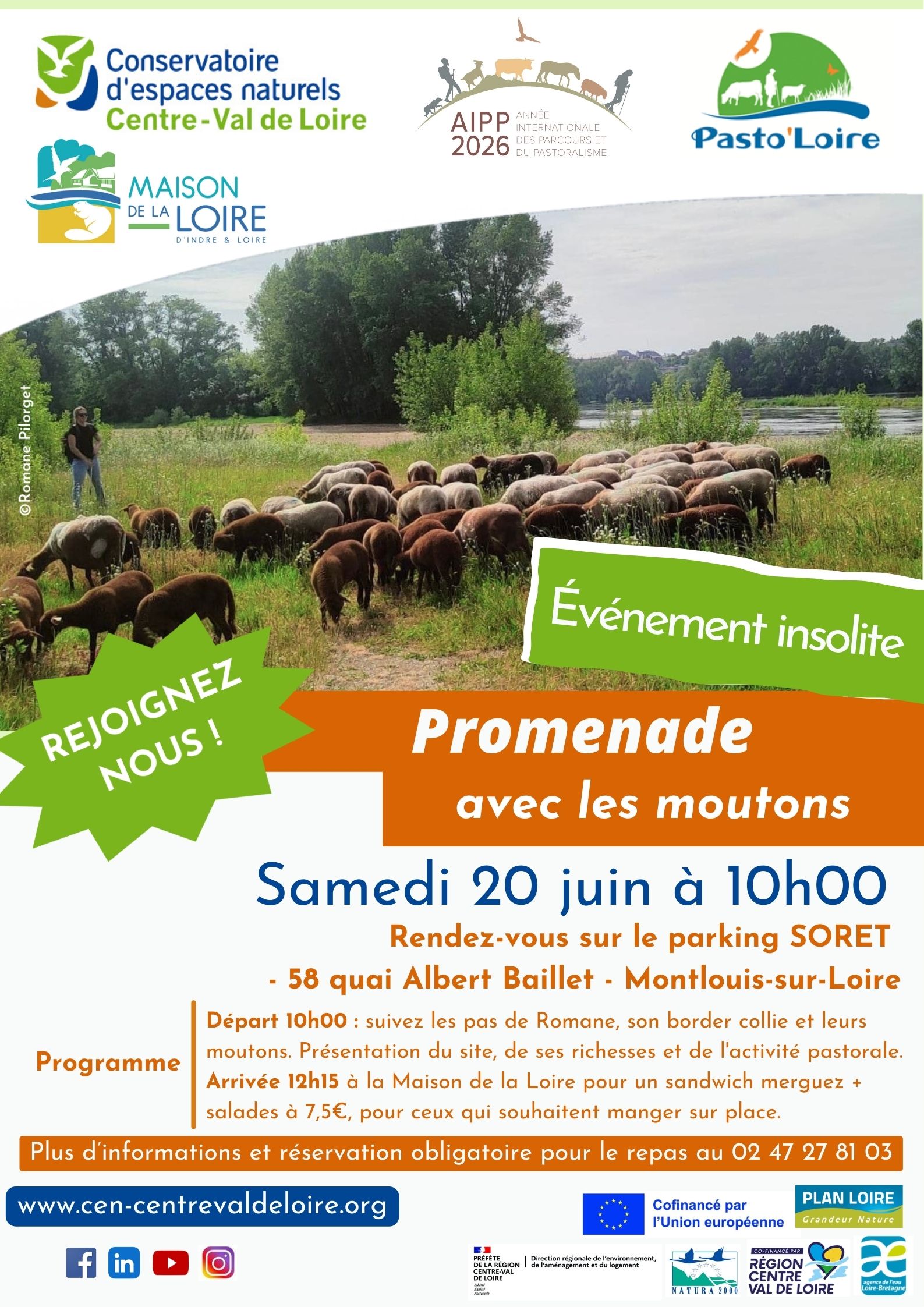 [Agenda] Promenade avec les moutons à l&rsquo;Île de Bondésir – samedi 20 juin à Montlouis-sur-Loire
